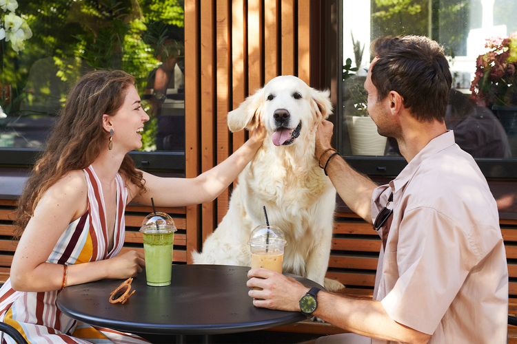 woman and man sit at a table with a white dog